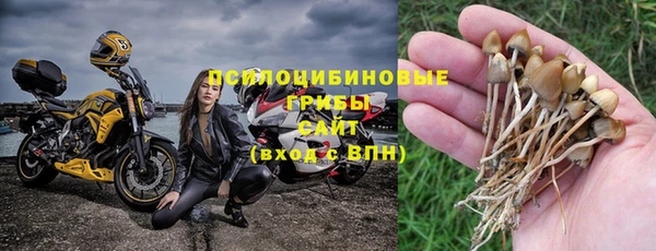 ECSTASY Балахна