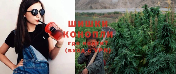 шишки Баксан
