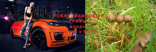 шишки Баксан
