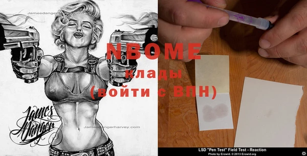 шишки Баксан