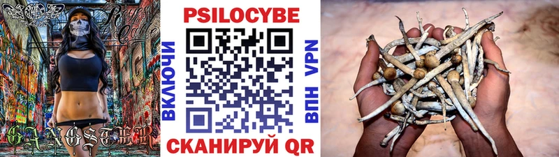 darknet состав  Белый  Псилоцибиновые грибы Cubensis 